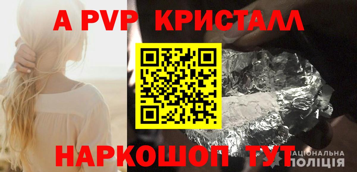 A PVP СК КРИС Кингисепп