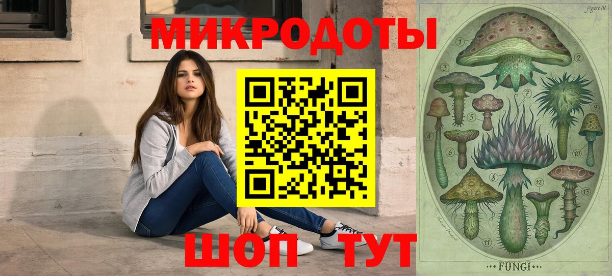 Псилоцибиновые грибы Cubensis Кингисепп