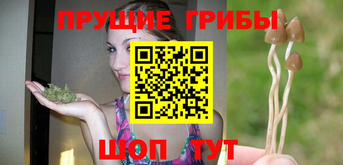 Псилоцибиновые грибы ЛСД  Вход с VPN  Псилоцибиновые грибы Psilocybine cubensis  Кингисепп 